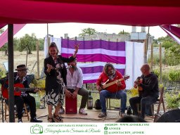 Festival Mar de Tethys 2026 - Bodega Vetas